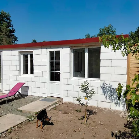 Maison Avec Jardin Arbore